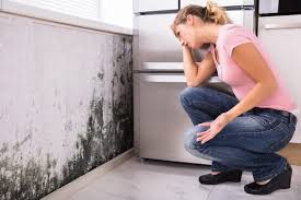 Mold Documentation for Insurance Claims in Mooreville, MS